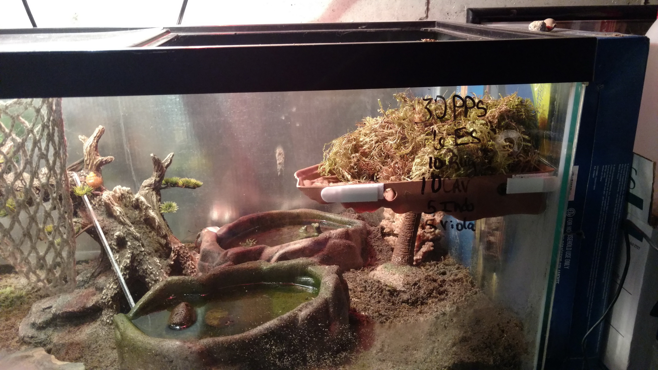 Turtle Dock mounted 3M Command strips with moss